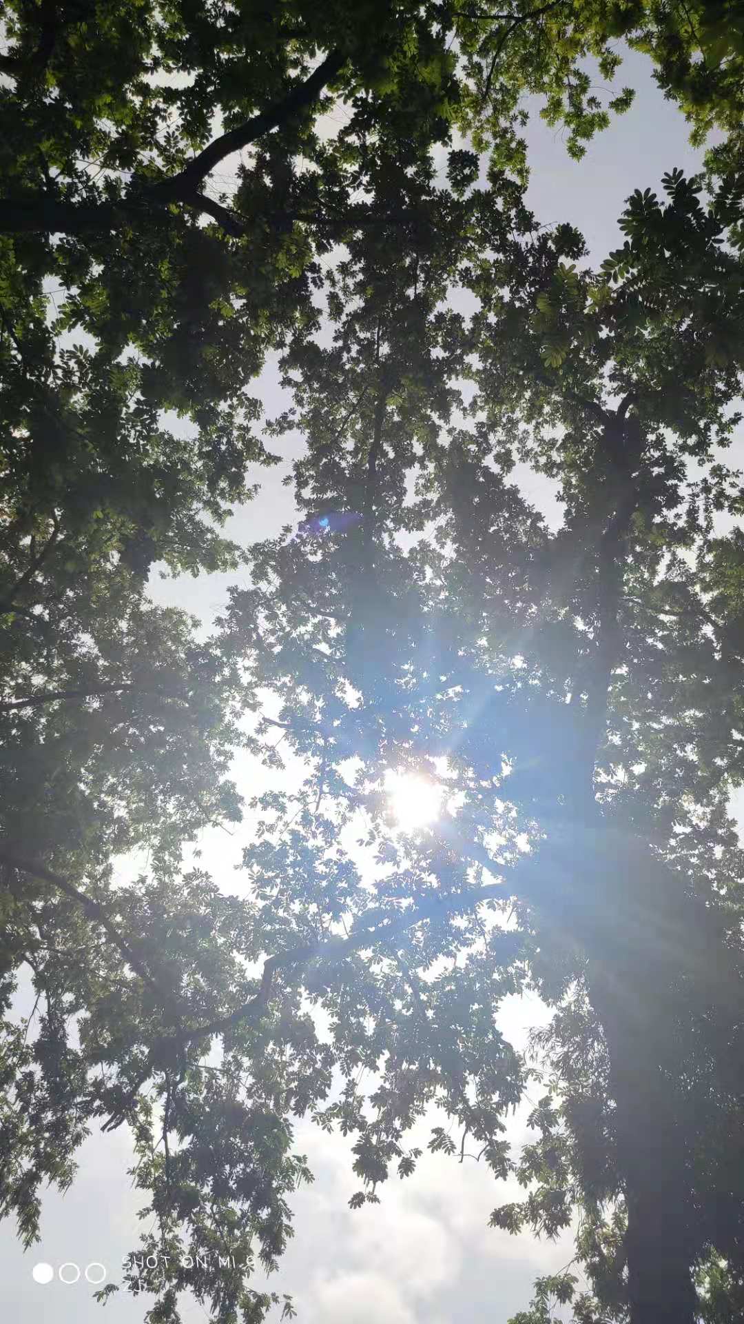 161931715858018098200.jpg