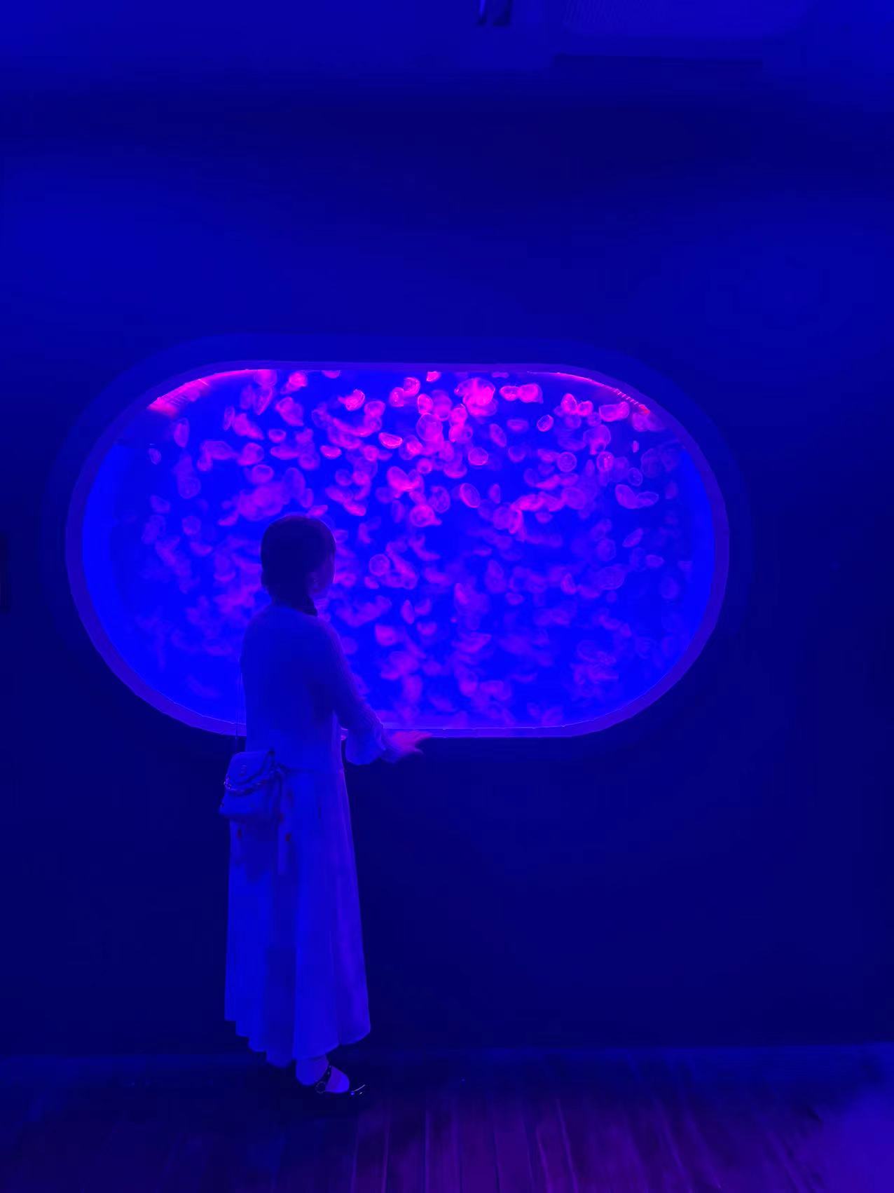 微信图片_20220828115215.jpg
