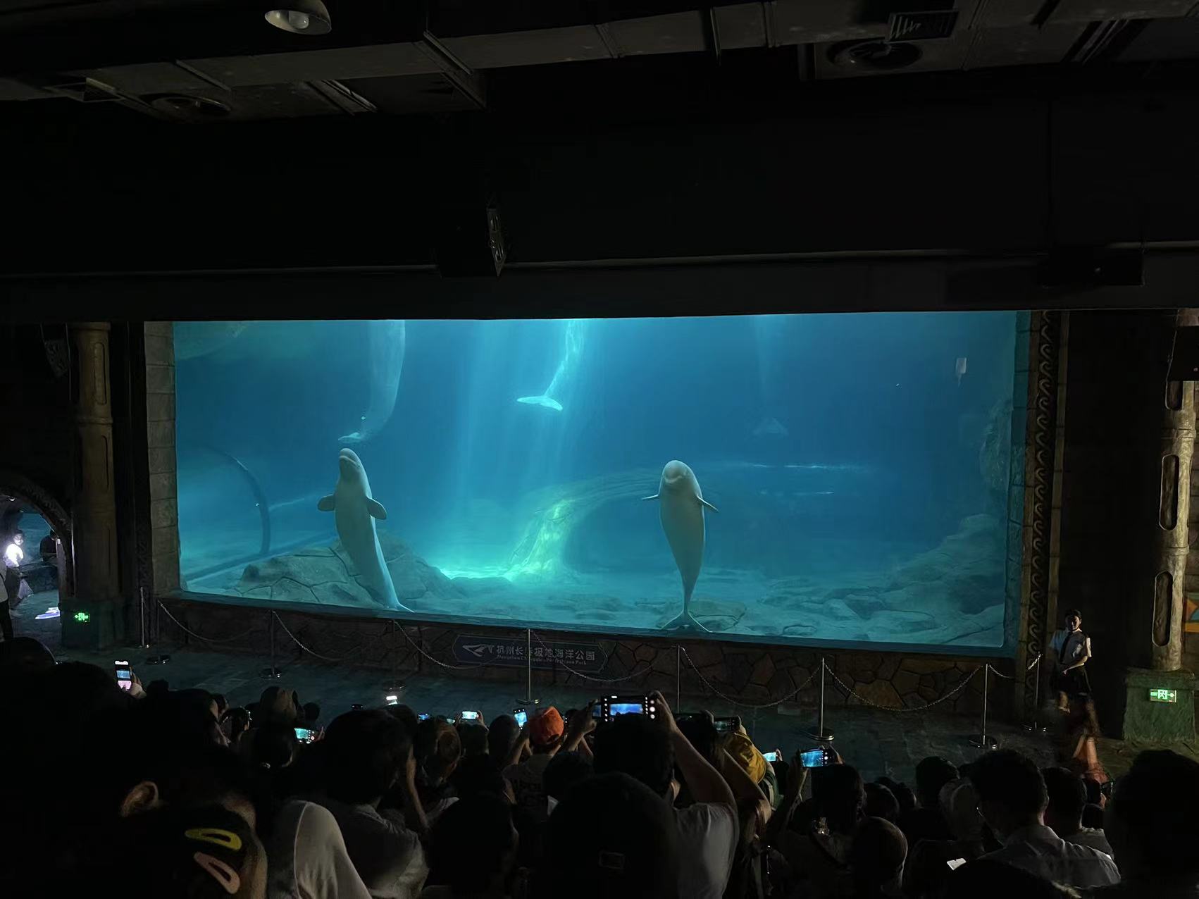 微信图片_20220828115155.jpg