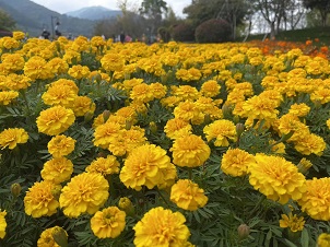 微信图片_20221017230251.jpg