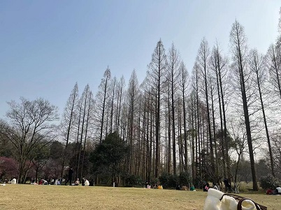 微信图片_20230306211642 - 副本.jpg