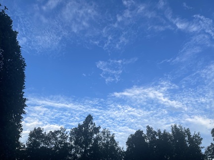 微信图片_2025-07-09_192300_942.jpg