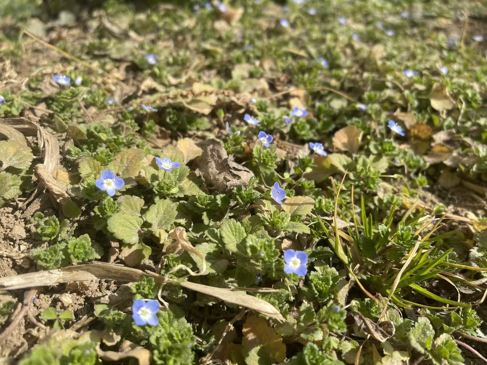 2026 春节生活碎片「02」—— 西安｜北方大年封面